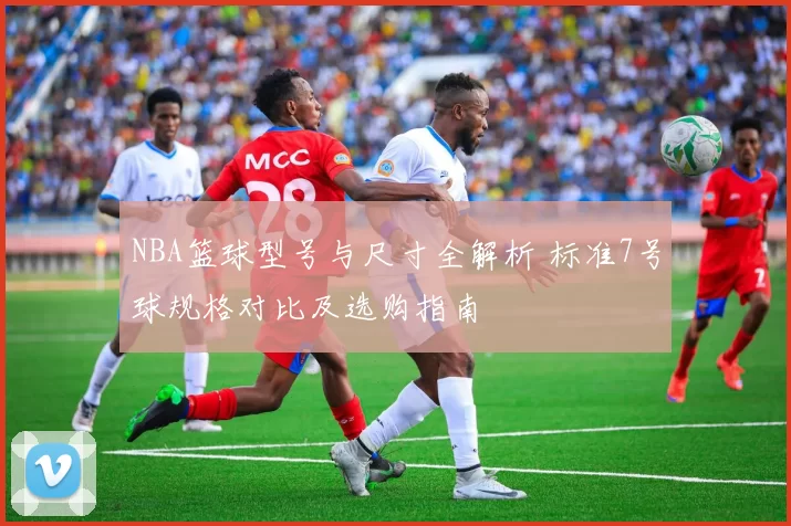 NBA篮球型号与尺寸全解析 标准7号球规格对比及选购指南
