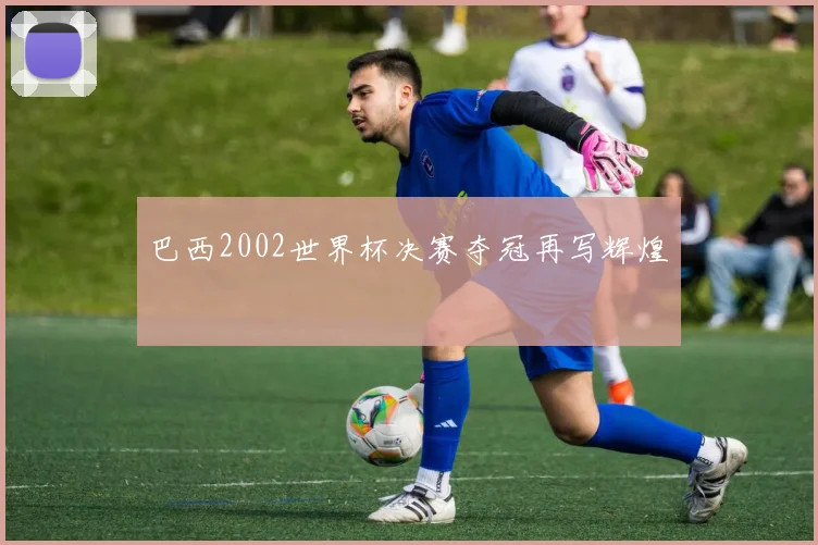 巴西2002世界杯决赛夺冠再写辉煌