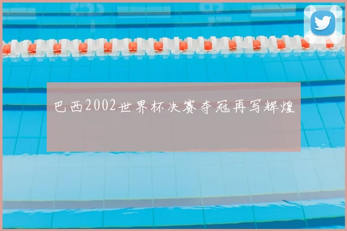 巴西2002世界杯决赛夺冠再写辉煌