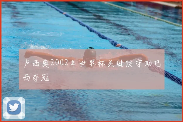 卢西奥2002年世界杯关键防守助巴西夺冠